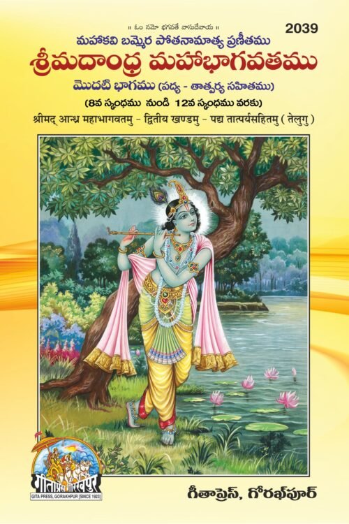 Shrimadandhra Mahabhagwatamu  (Telugu)