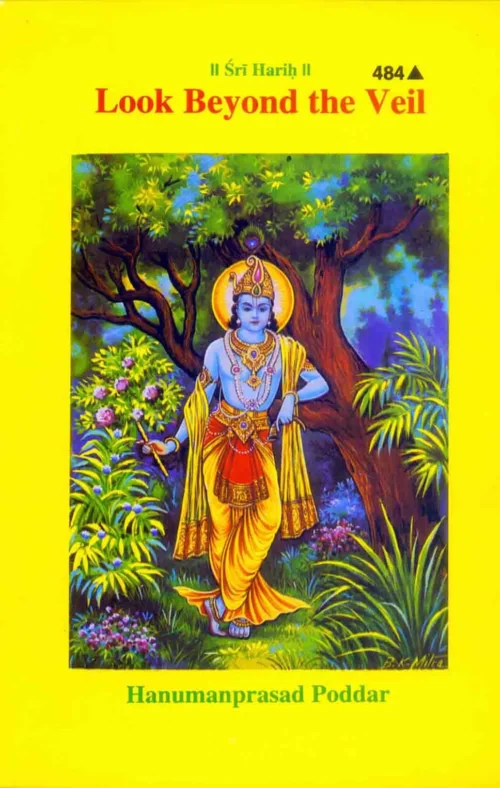 Look Beyond the Veil  (English)