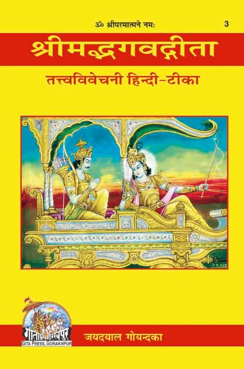 Gita - Tattva - Vivechani  (Hindi)